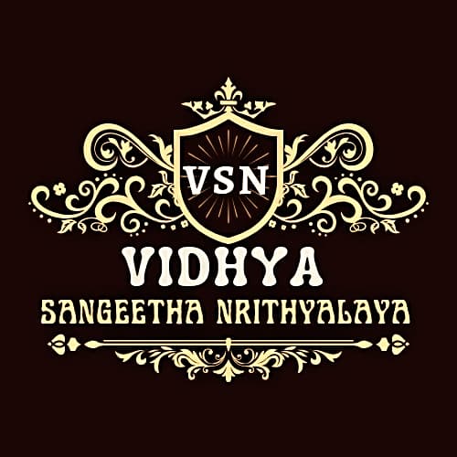VSN Logo